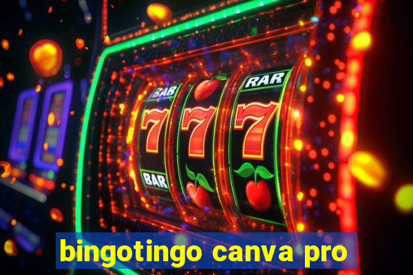 bingotingo canva pro